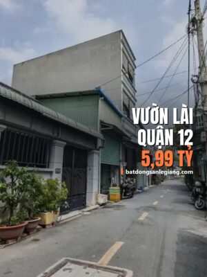 Bán nhà đường Vườn Lài, Quận 12 – 107m², 5,99 tỷ