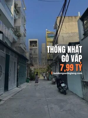 Bán nhà đường Thống Nhất, Phường 11, Gò Vấp – 52m², 7,99 tỷ