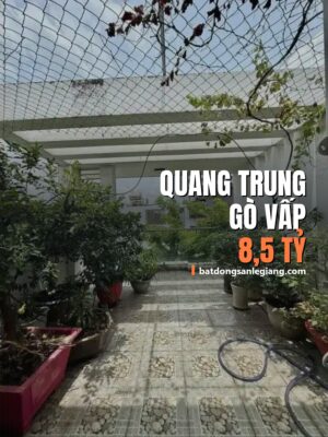 Bán nhà đường P8, Gò Vấp, Gò Vấp – 83m², 8,50 tỷ