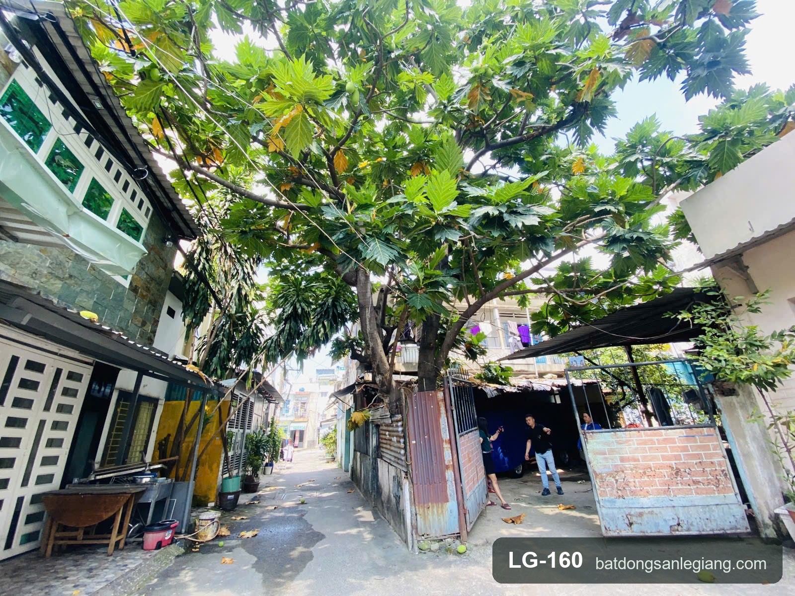 LG-160 Hẻm trước nhà — nhà đất bán Thông Tây Hội Gò Vấp Hẻm trước nhà — nhà đất bán Thông Tây Hội Gò Vấp